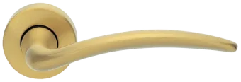 FRANCY R3-E OSA, ручка дверная, цвет - матовое золото