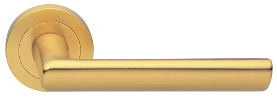 STELLA R2 OSA, ручка дверная, цвет - матовое золото фото купить Тула