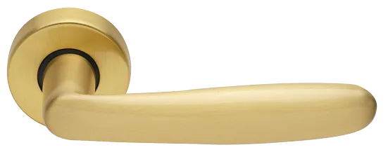 IMOLA R3-E OSA, ручка дверная, цвет - матовое золото фото купить Тула
