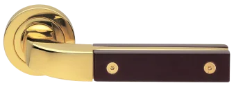 TREE R2 OTL/WENGE, ручка дверная, цвет -  золото/венге