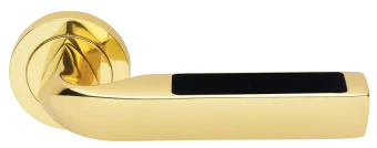 MATRIX-2 R2 OTL/NERO, ручка дверная, цвет -  золото/черный